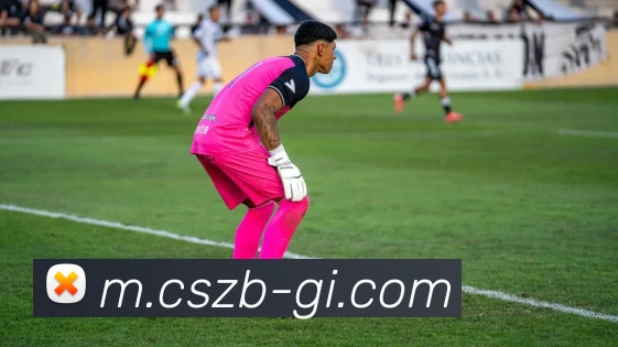 彩神争霸平台生态图