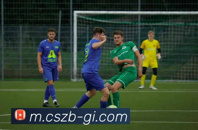 辅助工具 辅助工具